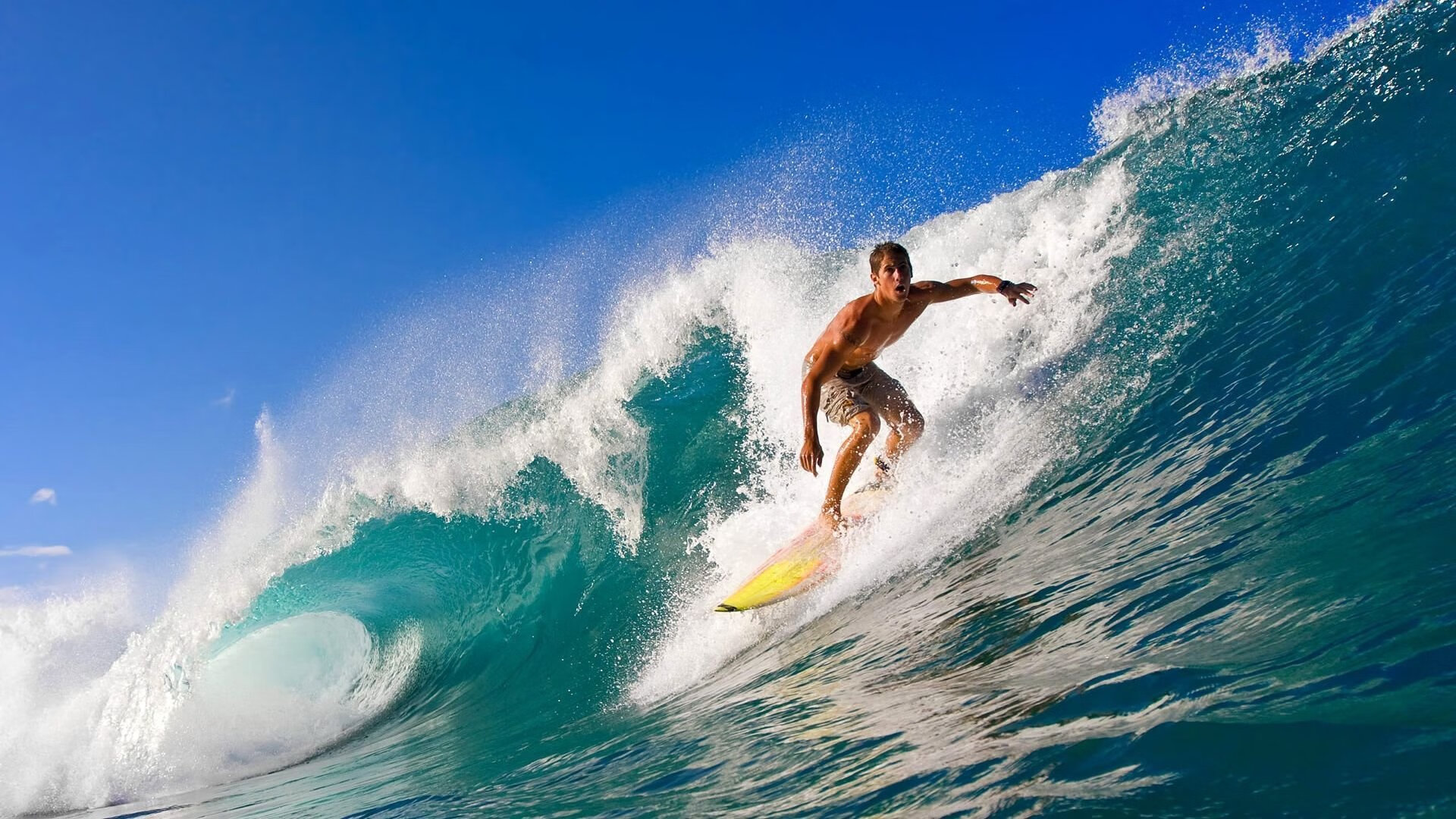 史上最绚丽“冠军庆典”,荣耀时刻永难忘怀,冠军庆祝动作